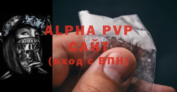 spice Горняк