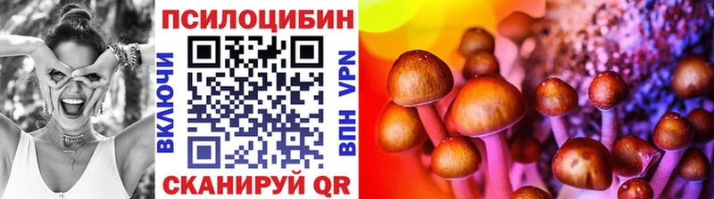 Псилоцибиновые грибы Psilocybe  цена наркотик  Кызыл 